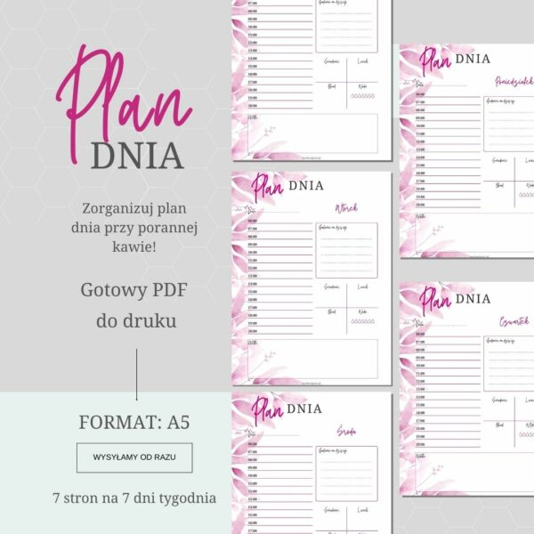 Plan Dnia PD1
